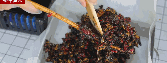 关于阿胶糕的晚安语录【手工阿胶糕早安心语】