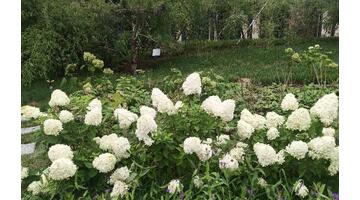 媛福达连锁超市怎么加盟【媛福达超市有多少加盟店】