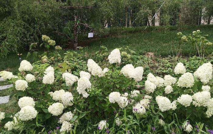 媛福达连锁超市怎么加盟【媛福达超市有多少加盟店】