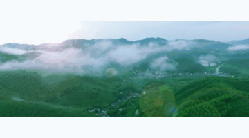 安吉云上草原现场买票多少钱【安吉云上大草原门票】