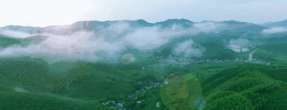 安吉云上草原现场买票多少钱【安吉云上大草原门票】