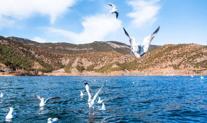 泸沽湖到香格里拉怎么去【泸沽湖到香格里拉怎么去最方便】