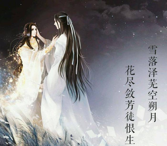 桑仪车文全过程【桑仪图片】