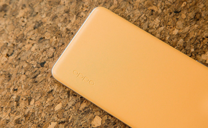 素皮和玻璃哪个后盖好【素皮版是什么意思】