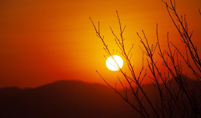 新年对部队军人的祝福语四个字【给部队官兵的新年祝福语】