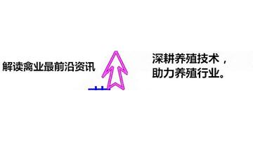 中国鹌鹑网全国鹌鹑蛋今日报价表【中国鹌鹑网鹌鹑蛋今日报价】