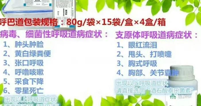 中国鹌鹑网全国鹌鹑蛋今日报价表【中国鹌鹑网鹌鹑蛋今日报价】