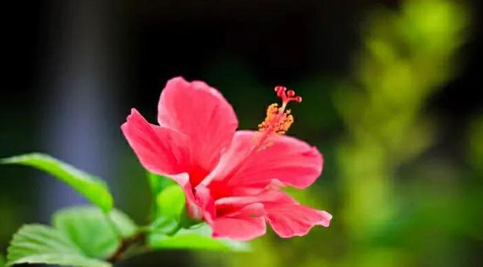 高质量的独处胜过低质量的社交英文【高质量的独处胜过低质量的社交下一句】