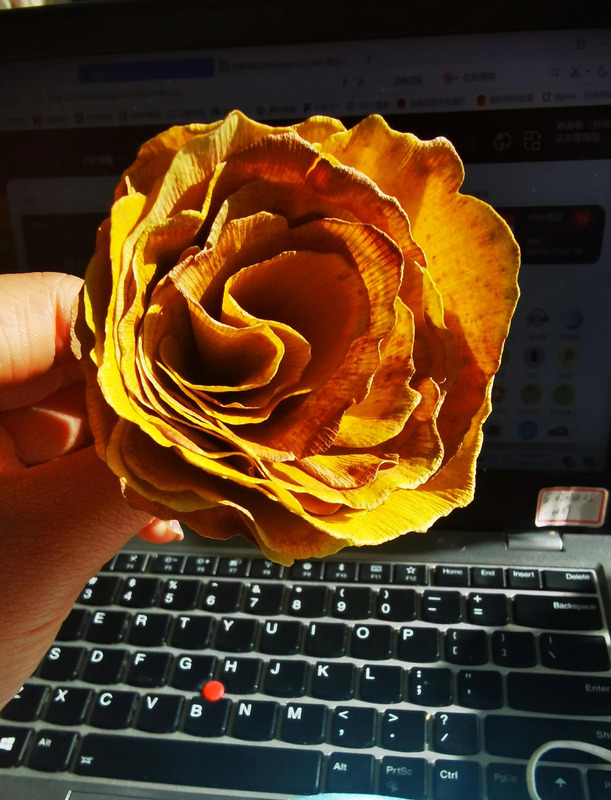 秋天的银杏树好像什么【秋天的银杏树像什么比喻句】