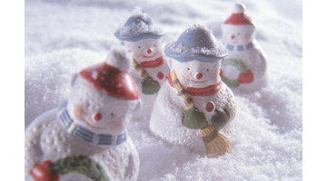 美丽的冬天300字作文大全【美丽的冬天作文300字左右五年级】