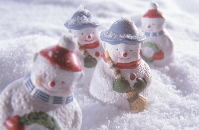 美丽的冬天300字作文大全【美丽的冬天作文300字左右五年级】