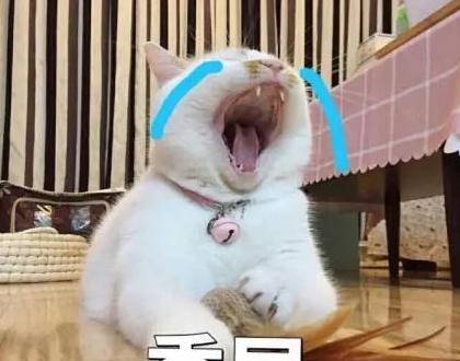 20年总结报告【20年总结关键词】