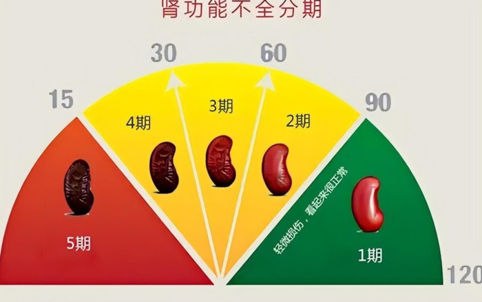 常见食物含磷量一数据百科【各种食物磷含量一览表】