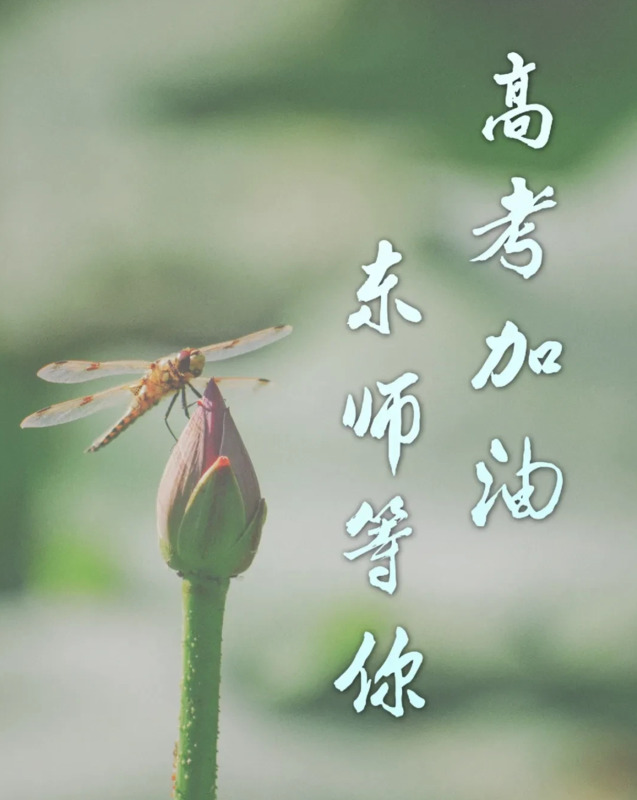 东北大学校训精神【东北师范大学校训】