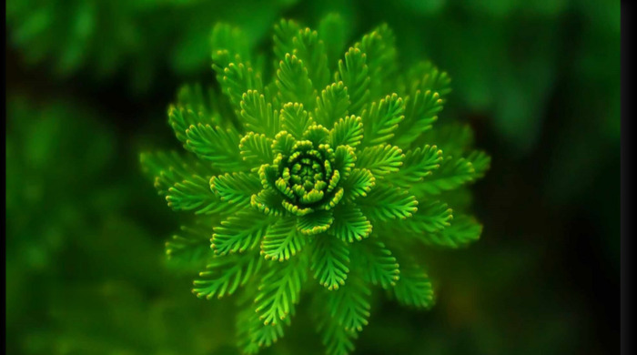 ps去水印教程详细步骤手机版【ps去水印教程详细步骤视频】