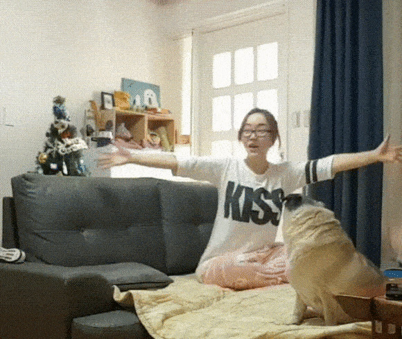 性格温和的狗【性格温和的女生】