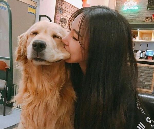 性格温和的狗【性格温和的女生】