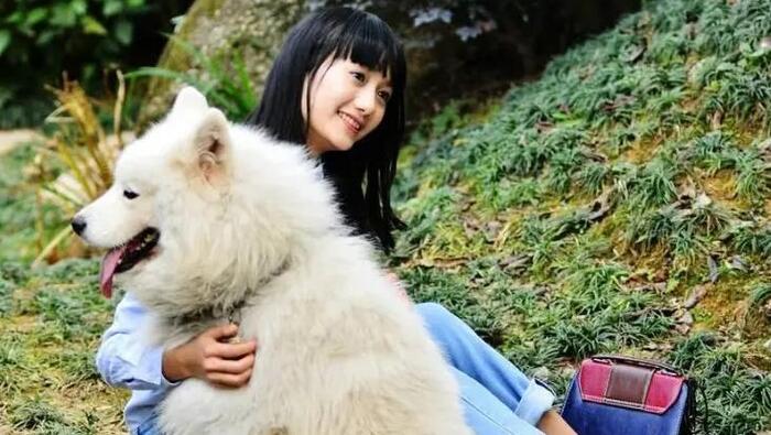 性格温和的狗【性格温和的女生】