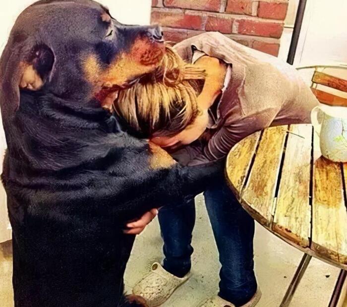 性格温和的狗【性格温和的女生】