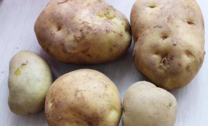 绿色的马图片搞笑【绿色的马铃薯能吃吗】