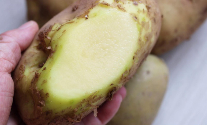 绿色的马图片搞笑【绿色的马铃薯能吃吗】