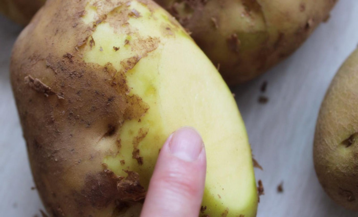 绿色的马图片搞笑【绿色的马铃薯能吃吗】