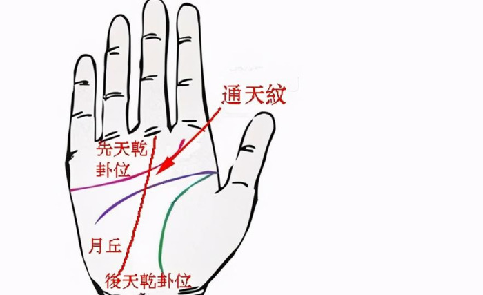 好多人都有悬针纹【有悬针纹的】