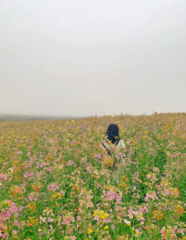 不一样的风景作文800中考满分作文【不一样的风景不一样的心情的说说】
