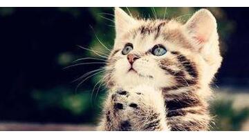 起运旺运口诀【起运与交运时间怎么算】