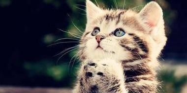 起运旺运口诀【起运与交运时间怎么算】