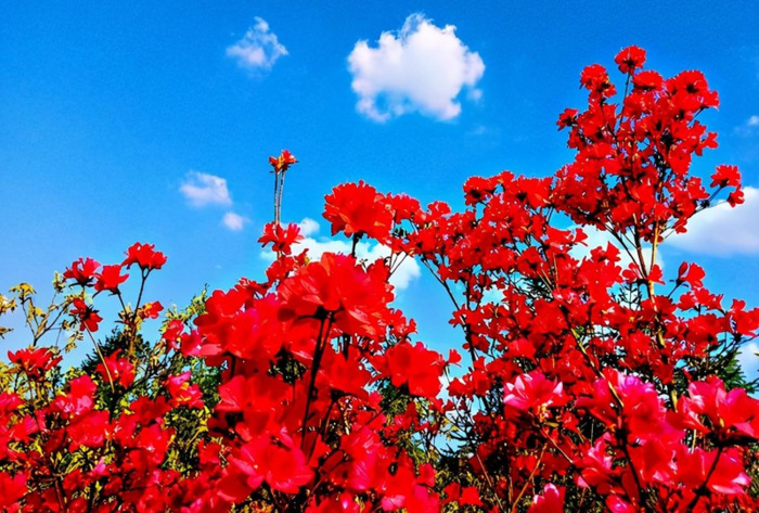 慷慨造句10字【气冲斗牛造句】