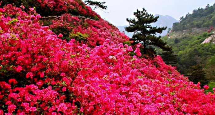 慷慨造句10字【气冲斗牛造句】