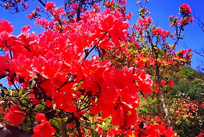 慷慨造句10字【气冲斗牛造句】