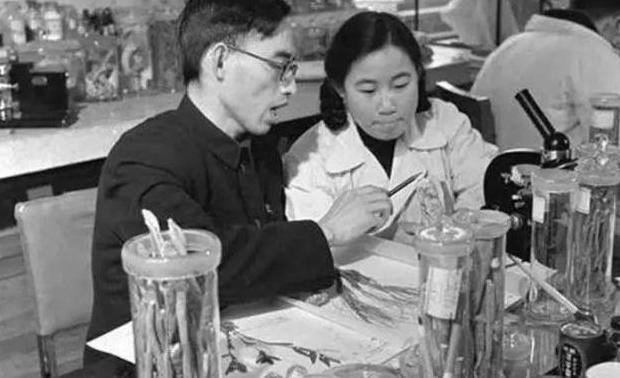 屠呦呦个人资料及简介英语【屠呦呦个人资料及简介PPT】