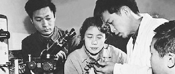 屠呦呦个人资料及简介英语【屠呦呦个人资料及简介PPT】