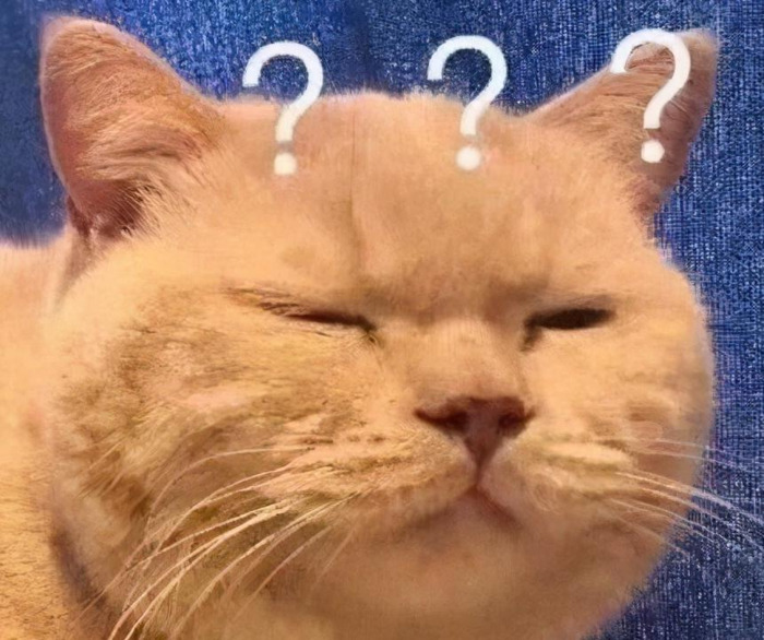 厦门大学研究生学费收费标准【厦门大学研究生学费一览表2020】