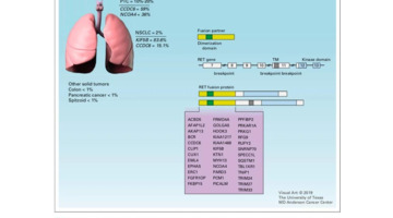 Rearranged during Transfection【Rearranged My Life】