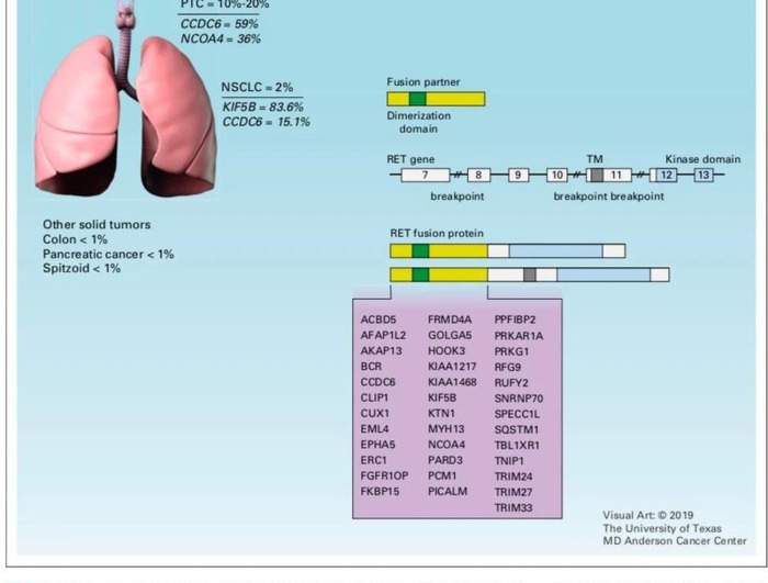 Rearranged during Transfection【Rearranged My Life】