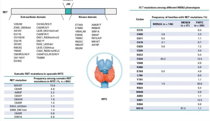 Rearranged during Transfection【Rearranged My Life】