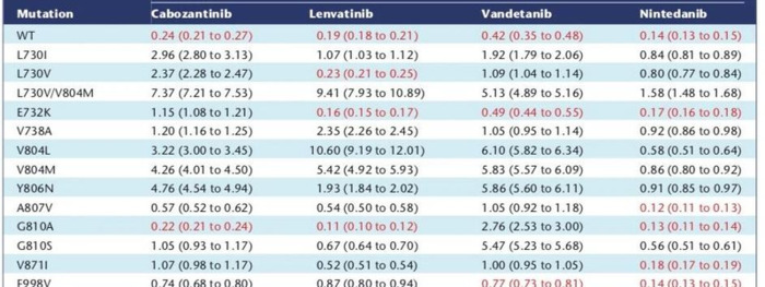 Rearranged during Transfection【Rearranged My Life】