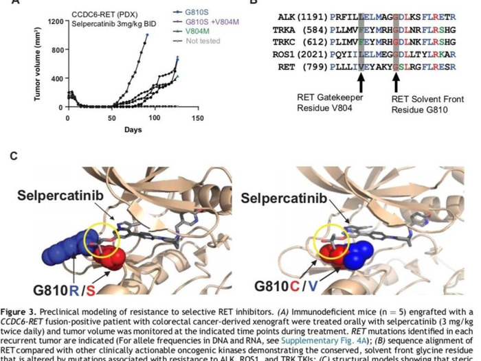 Rearranged during Transfection【Rearranged My Life】