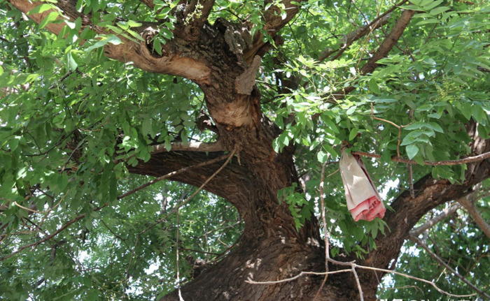 镡怎么读【镭测创芯】