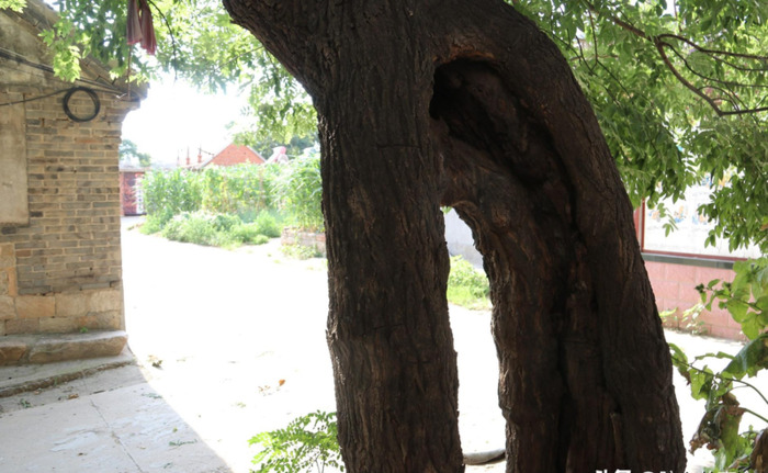 镡怎么读【镭测创芯】