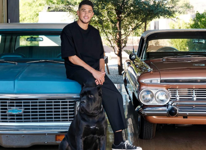 平层别墅图片【平层小别墅】