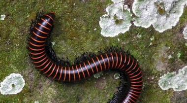 十二星座男最渣排名【十二星座男有多宠女友】