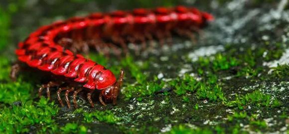 十二星座男最渣排名【十二星座男有多宠女友】