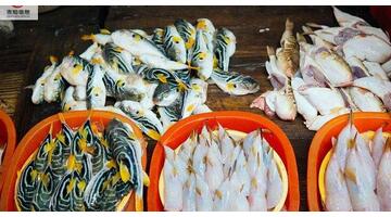 做社区团购一个月能挣多少钱【社区团购能挣钱吗】