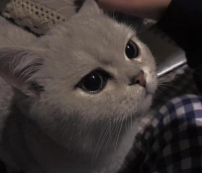 喝酒文案句子伤感【喝酒文案简短】