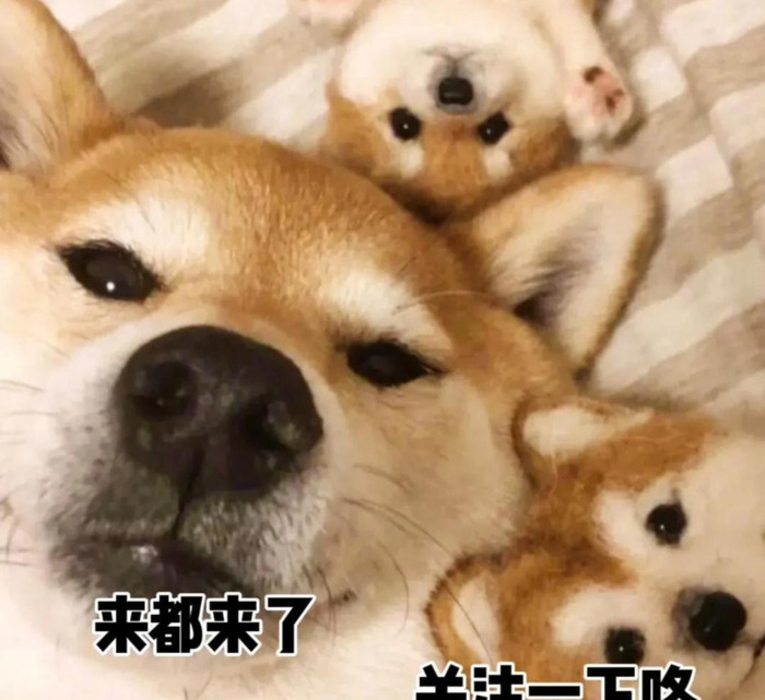 喝酒文案句子伤感【喝酒文案简短】