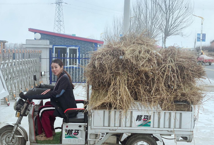 雪乡自助游【雪乡万家民宿】